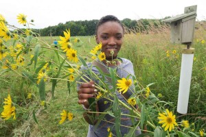 wexx high school course