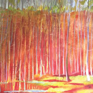 MarciaEvansGallery_crop